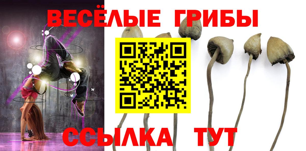 Галлюциногенные грибы MAGIC MUSHROOMS  Псилоцибиновые грибы Cubensis  Ртищево  Вход с VPN 