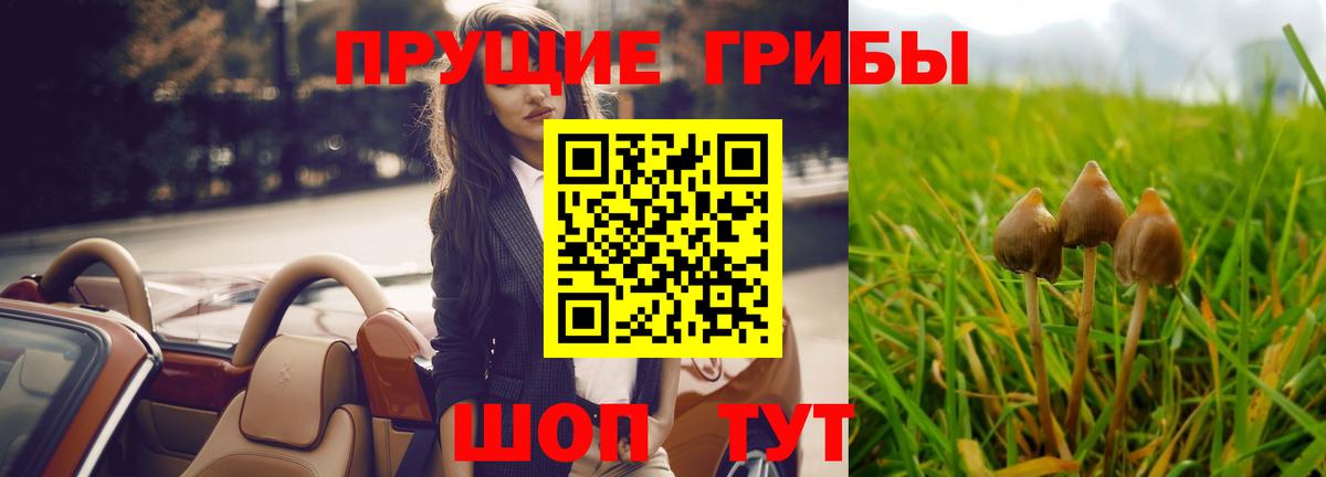 Псилоцибиновые грибы MAGIC MUSHROOMS Ртищево